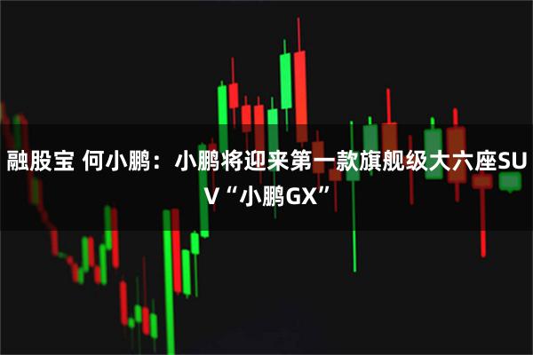 融股宝 何小鹏：小鹏将迎来第一款旗舰级大六座SUV“小鹏GX”