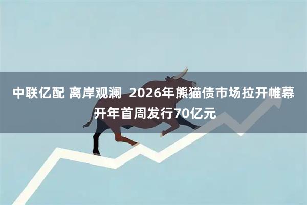中联亿配 离岸观澜  2026年熊猫债市场拉开帷幕 开年首周发行70亿元