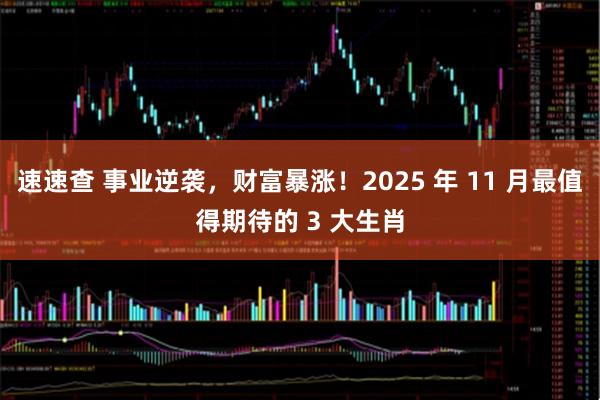 速速查 事业逆袭，财富暴涨！2025 年 11 月最值得期待的 3 大生肖