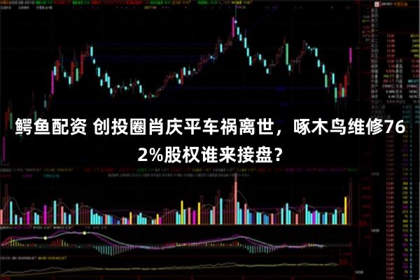 鳄鱼配资 创投圈肖庆平车祸离世，啄木鸟维修762%股权谁来接盘？
